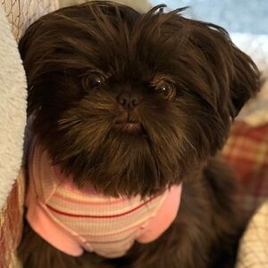 Meet your Posher, BornBerkeley